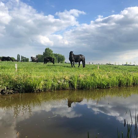 Vakantiehuis In Friesland Voor De Hele Familie Huns Eksteriør bilde