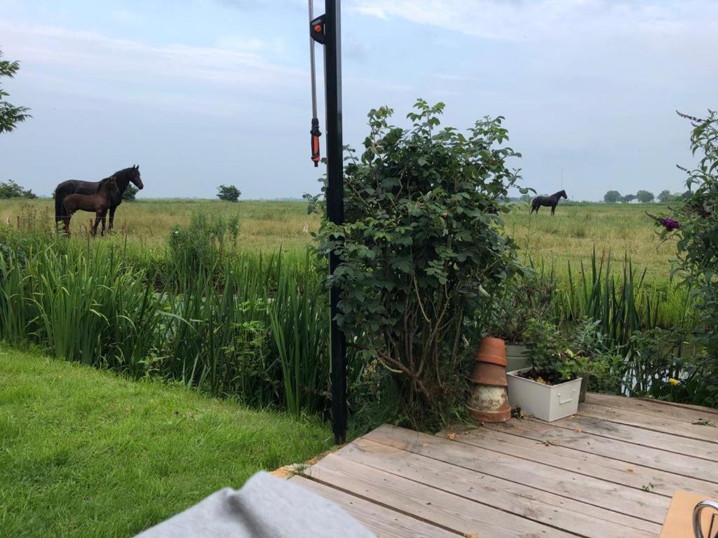 Vakantiehuis In Friesland Voor De Hele Familie Huns Eksteriør bilde