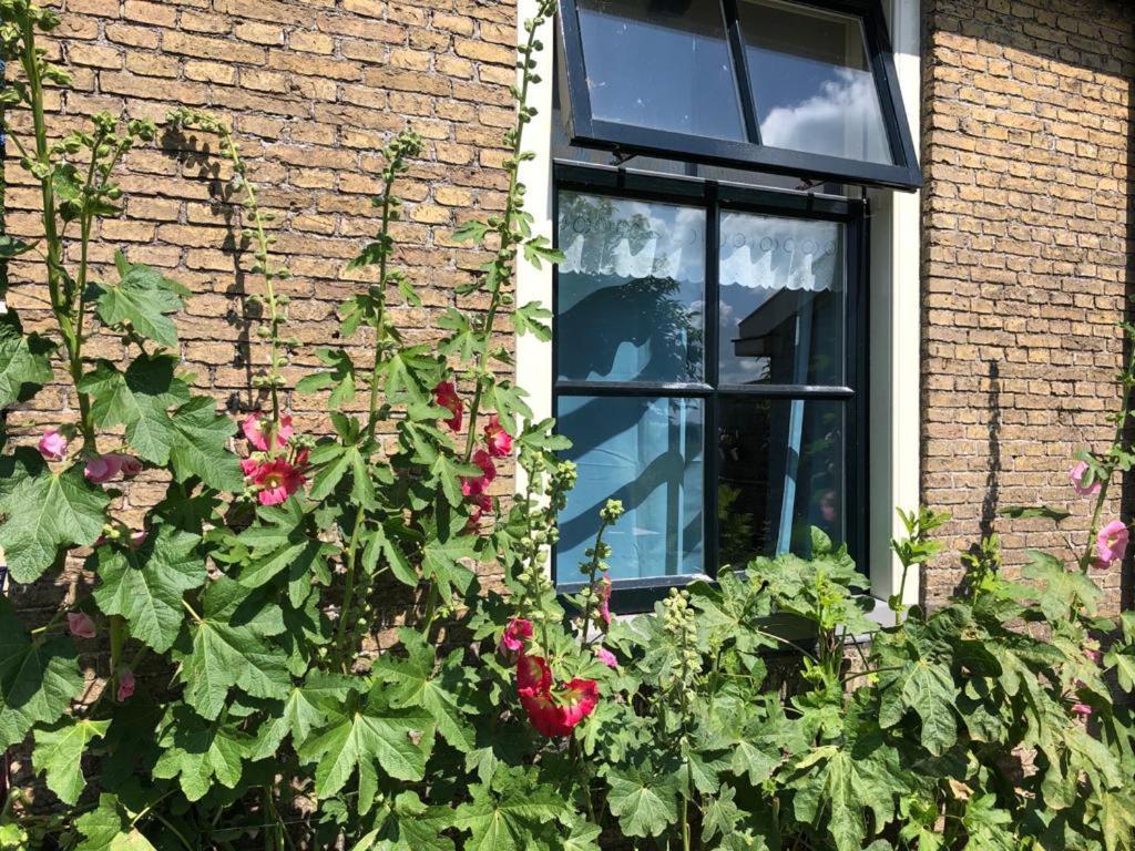 Vakantiehuis In Friesland Voor De Hele Familie Huns Eksteriør bilde