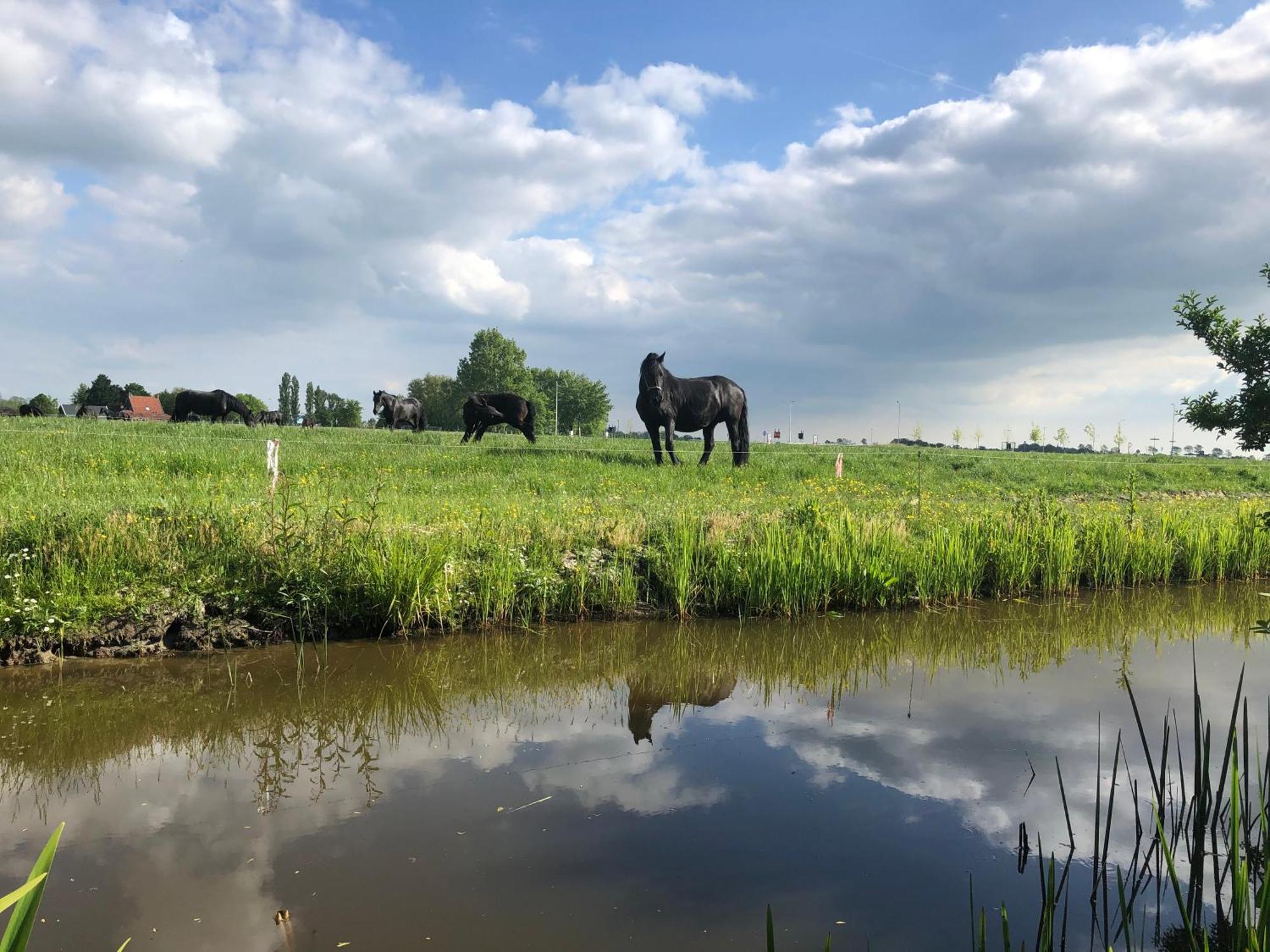 Vakantiehuis In Friesland Voor De Hele Familie Huns Eksteriør bilde